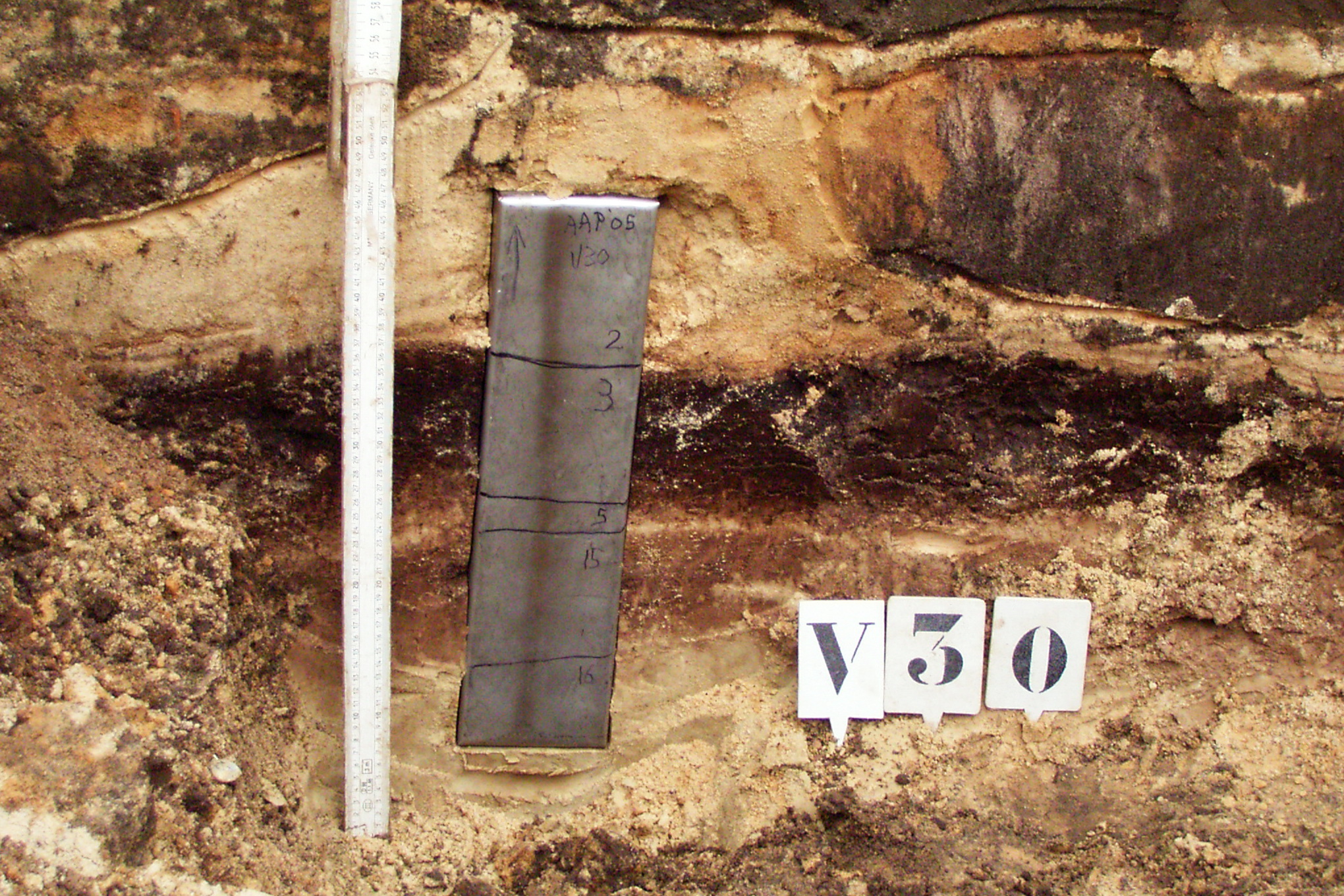 Opgraving Achter de Arnhemse Poortwal - Pollenbak voor het nemen van een monster van fossiel stuifmeel