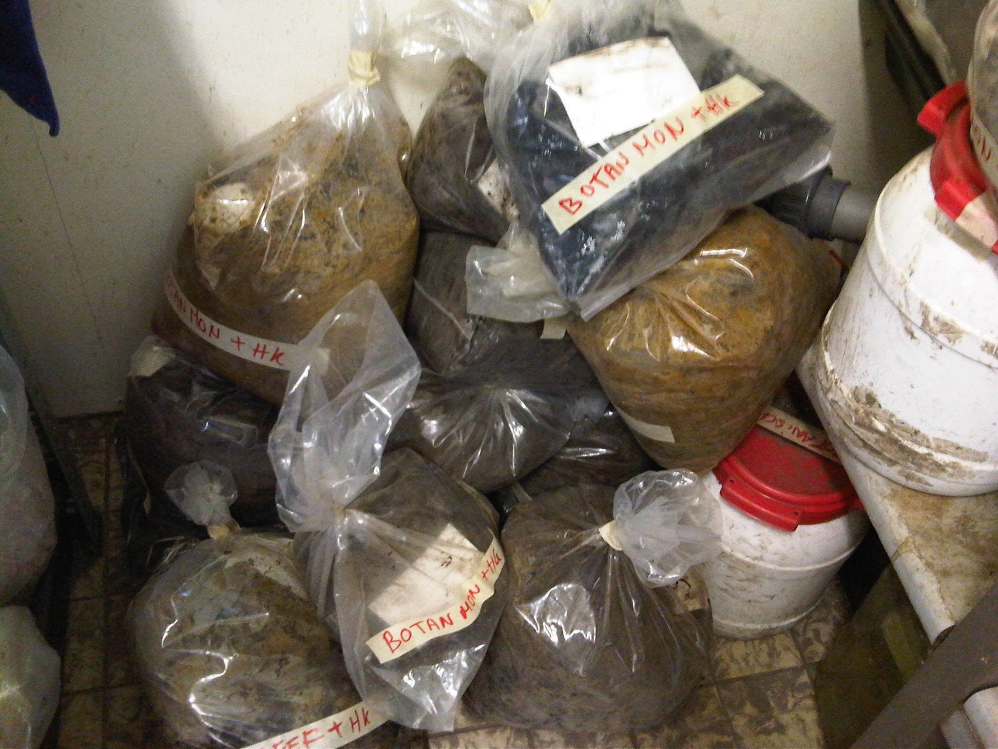 Voorraad zeefmonsters